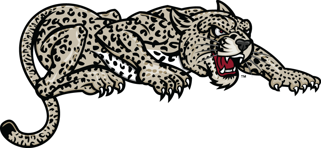 Lafayette Leopards 2000-Pres Partial Logo v2 diy DTF decal sticker